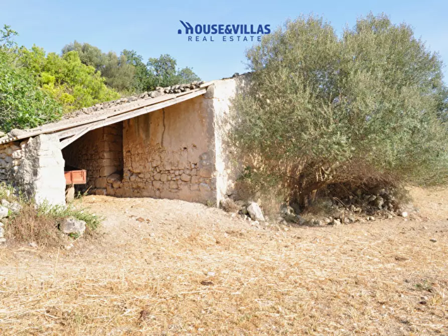 Immagine 12 di Villa in vendita  in Strada provinciale del Castelluccio a Noto