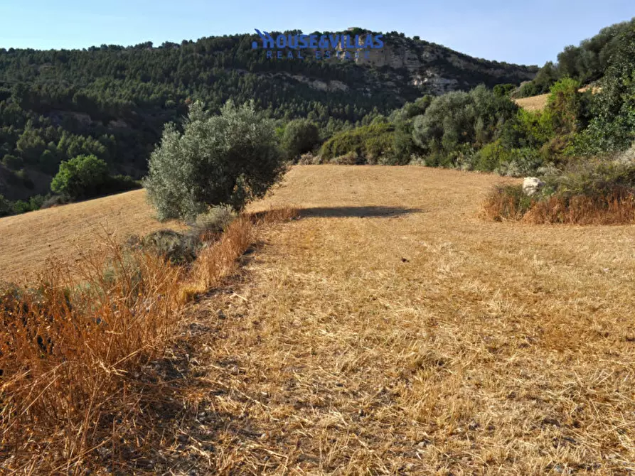 Immagine 16 di Villa in vendita  in Strada provinciale del Castelluccio a Noto