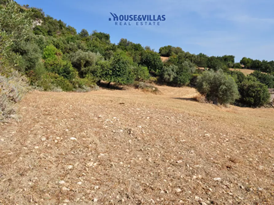 Immagine 20 di Villa in vendita  in Strada provinciale del Castelluccio a Noto