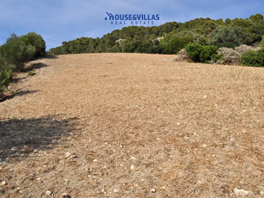 Immagine 21 di Villa in vendita  in Strada provinciale del Castelluccio a Noto