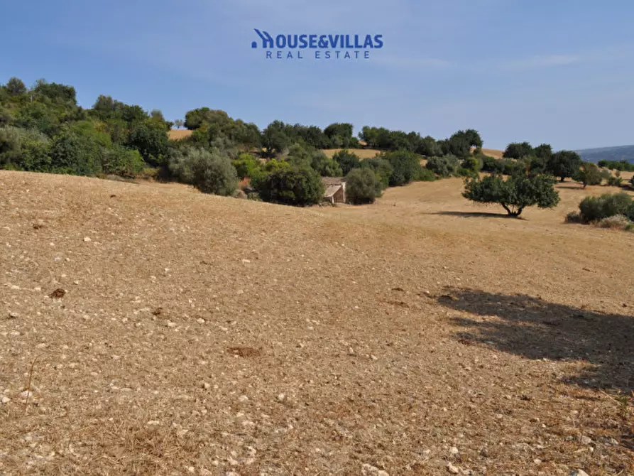 Immagine 22 di Villa in vendita  in Strada provinciale del Castelluccio a Noto