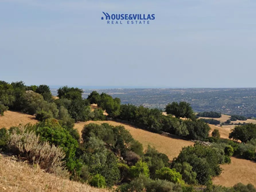 Immagine 24 di Villa in vendita  in Strada provinciale del Castelluccio a Noto