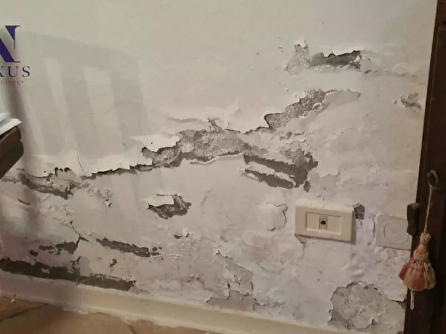 Immagine 11 di Casa indipendente in vendita  in Via Valtresca 89 a Fossombrone