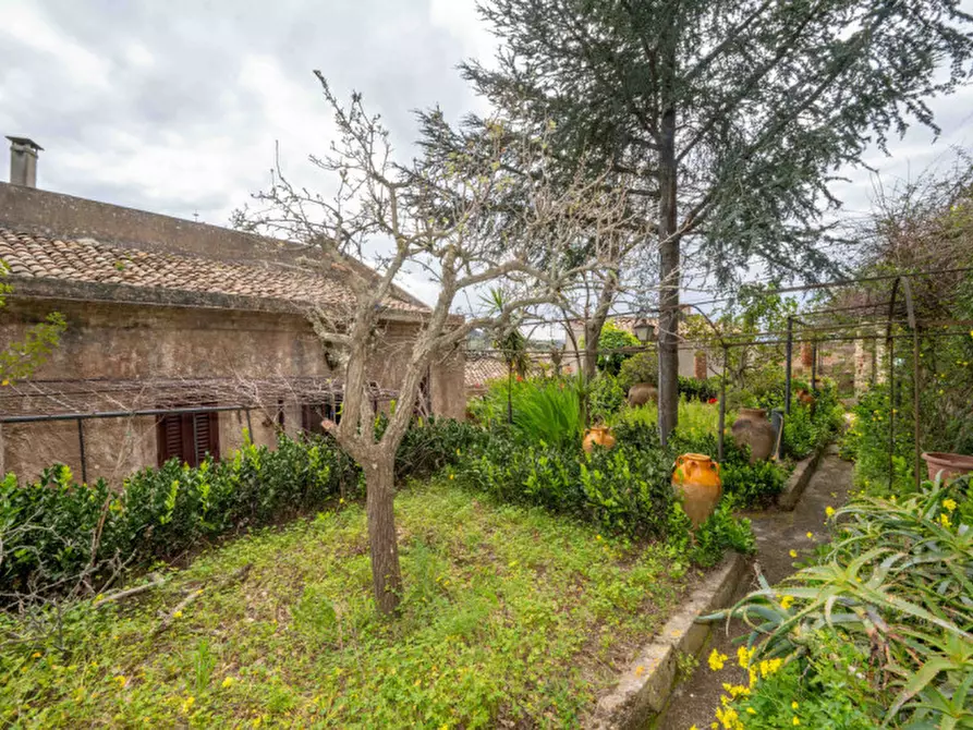 Immagine 65 di Appartamento in vendita  in Strada Provinciale 50 di Castanea delle Furie 29 a Messina