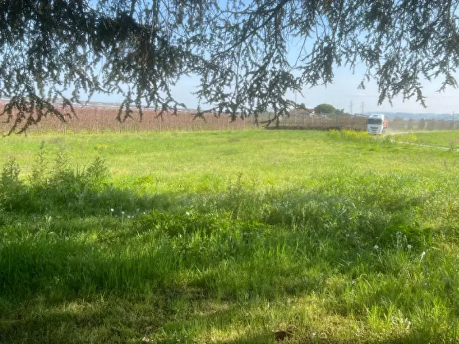 Immagine 1 di Casa indipendente in vendita  in via provinciale sala a Cesena