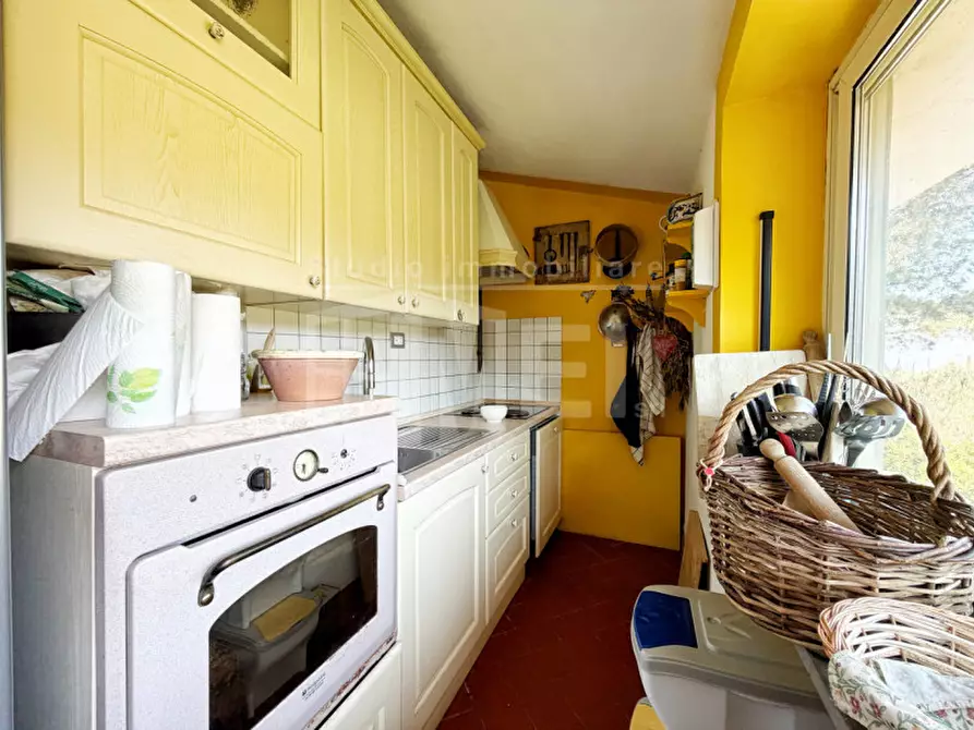 Immagine 24 di Villa in vendita  in Via del Castellaccio a Livorno