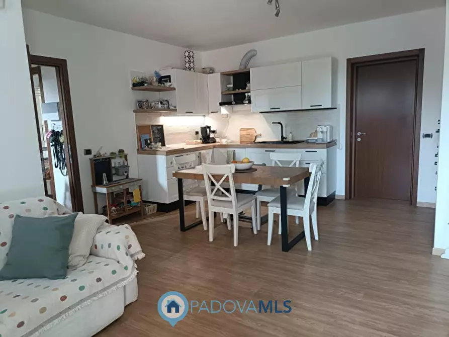 Immagine 2 di Appartamento in vendita  in Via San Daniele n. 2 a Albignasego