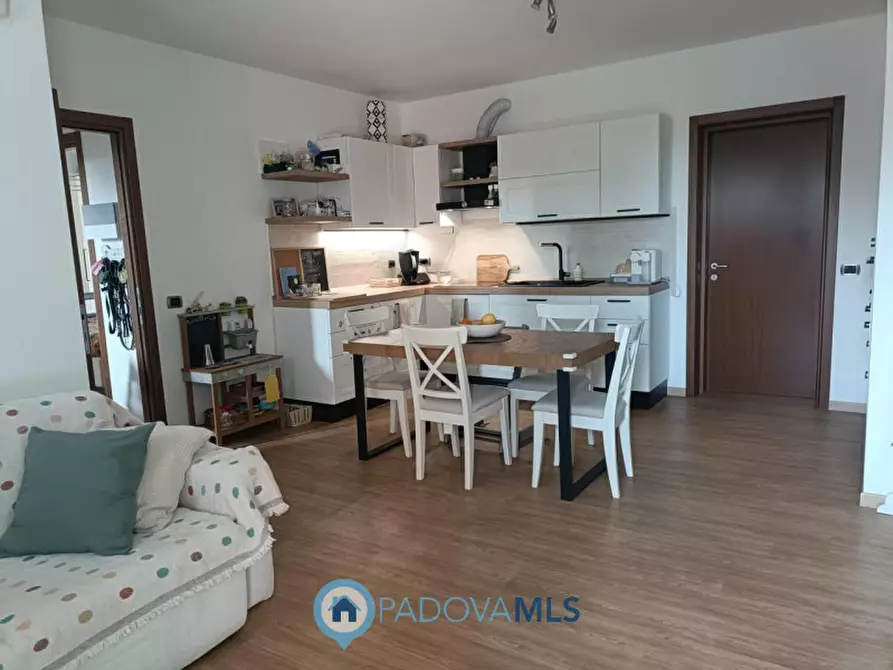 Immagine 4 di Appartamento in vendita  in Via San Daniele n. 2 a Albignasego