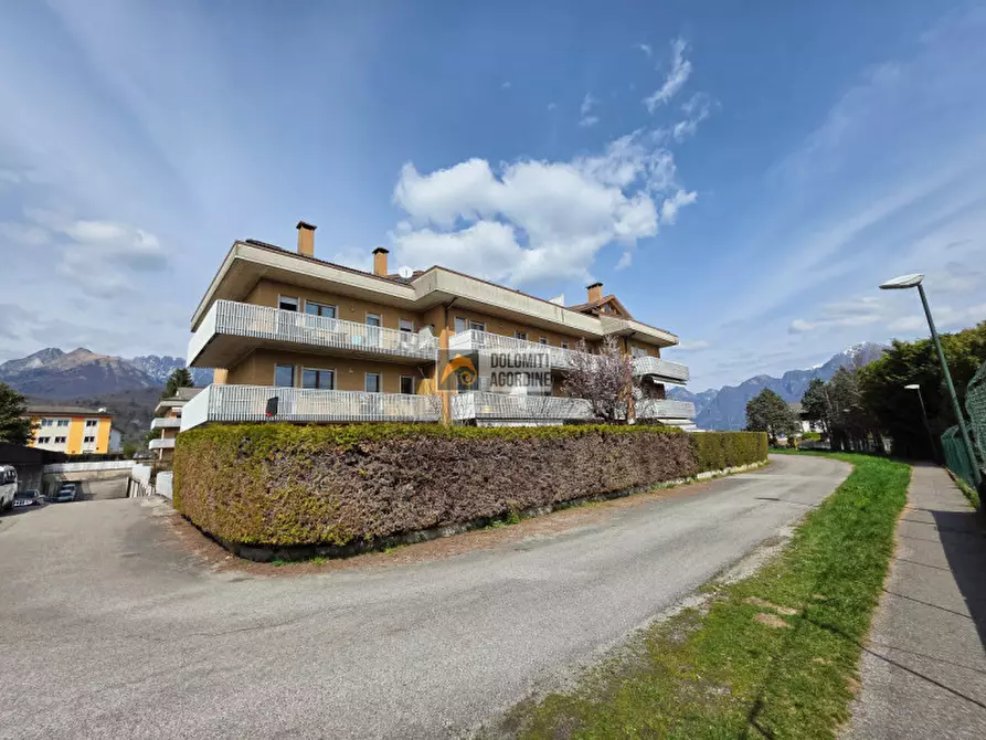 Immagine 22 di Appartamento in vendita  in Via Mondin, 43 a Belluno