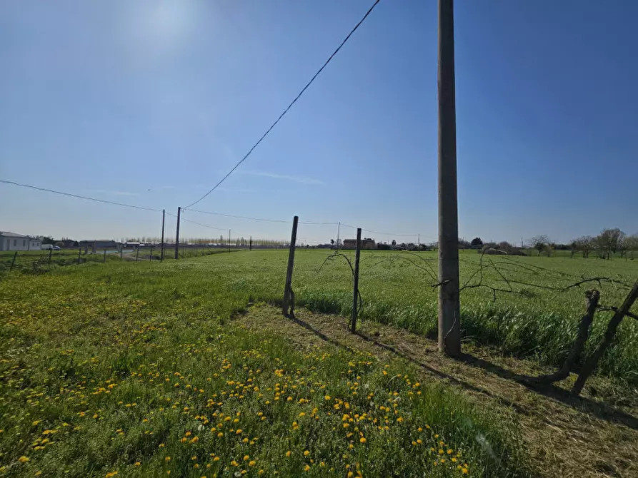 Immagine 18 di Casa indipendente in vendita  in VIA RAISE a Monselice