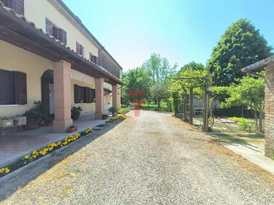 Immagine 2 di Casa indipendente in vendita  in Via Monte Grappa a Limena