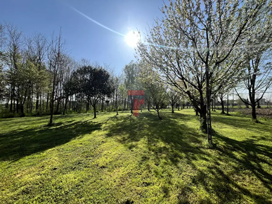Immagine 2 di Casa indipendente in vendita  in Via Monte Grappa a Limena