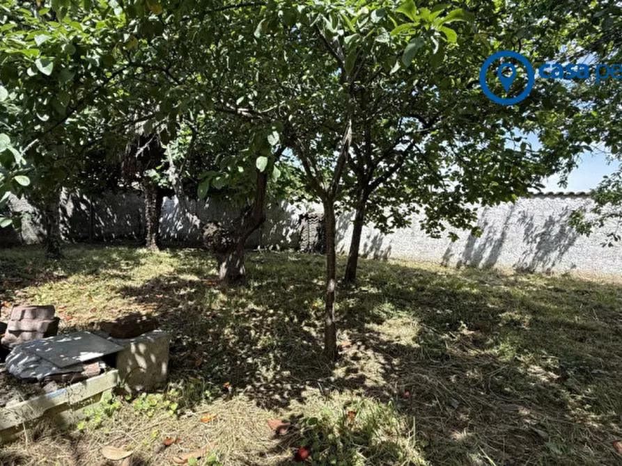 Immagine 23 di Casa indipendente in vendita  in Via San Pietro Martire, 600 a Pontecchio Polesine