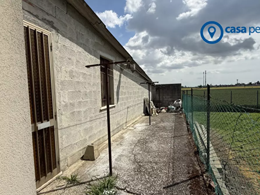 Immagine 25 di Casa indipendente in vendita  in Via San Pietro Martire, 600 a Pontecchio Polesine
