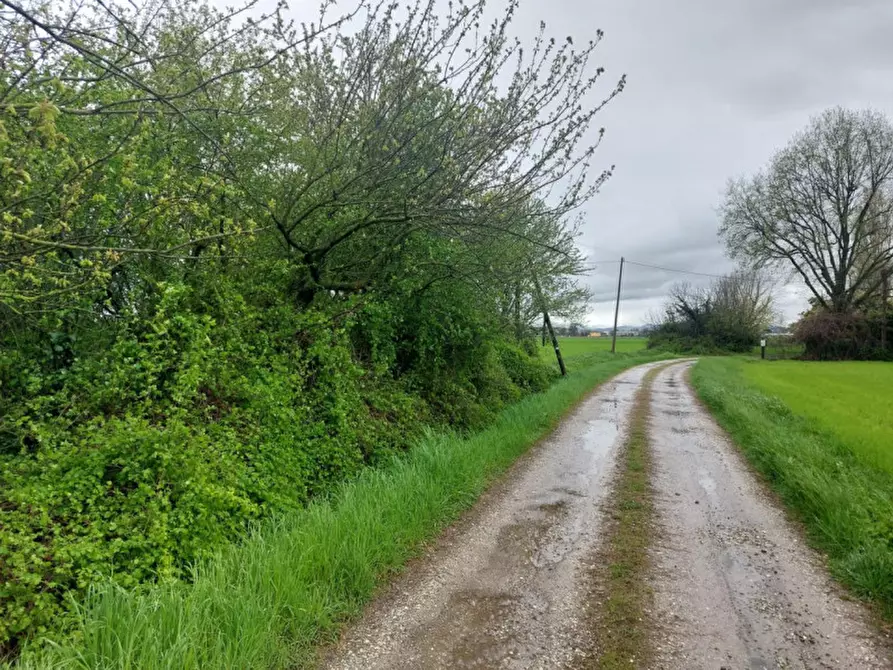 Immagine 6 di Terreno in vendita  in Via Savini, 40054 Budrio BO, Italia a Budrio