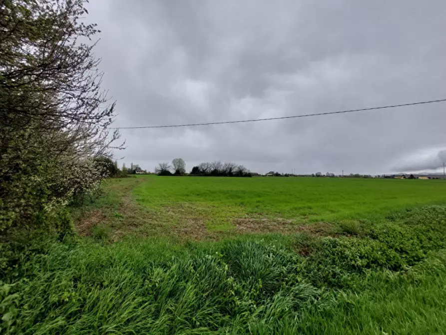 Immagine 7 di Terreno in vendita  in Via Savini, 40054 Budrio BO, Italia a Budrio