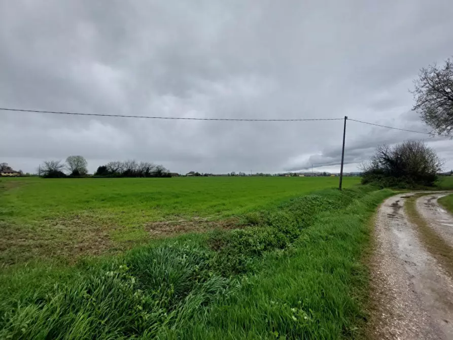 Immagine 8 di Terreno in vendita  in Via Savini, 40054 Budrio BO, Italia a Budrio