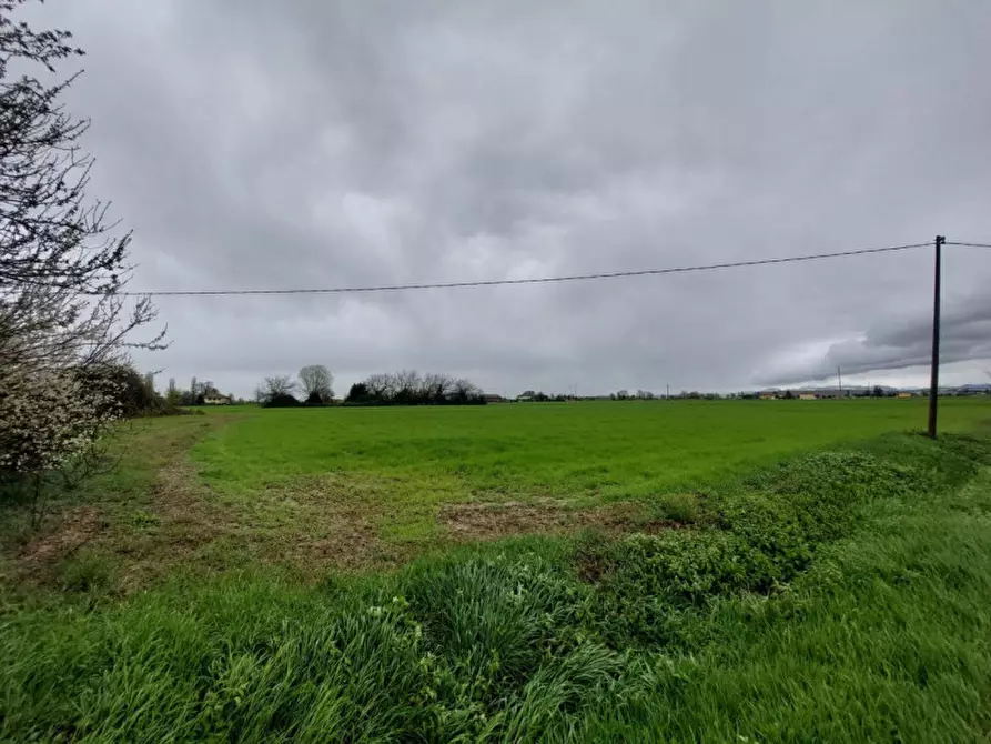 Immagine 9 di Terreno in vendita  in Via Savini, 40054 Budrio BO, Italia a Budrio