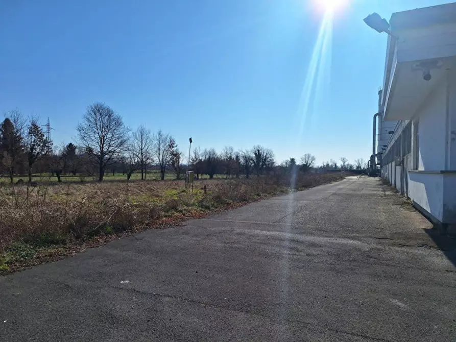 Immagine 17 di Capannone industriale in vendita  in Via Dei Colli, N. 46 a San Giovanni Al Natisone