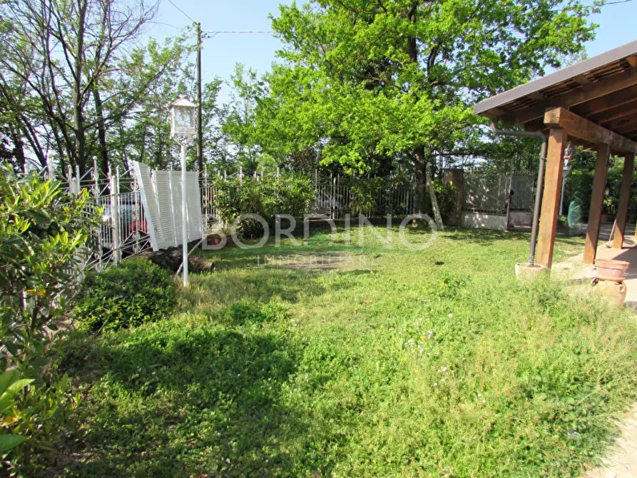 Immagine 41 di Villa in vendita  in Via Roma Snc a Magliano Alfieri