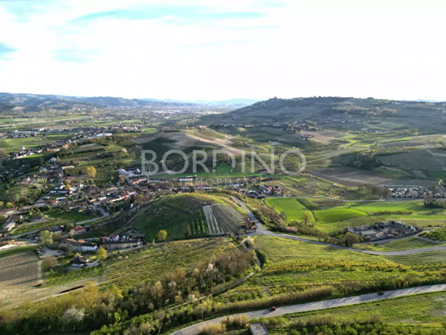 Immagine 42 di Villa in vendita  in Via Roma Snc a Magliano Alfieri