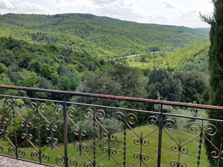Immagine 3 di Casa indipendente in vendita  a Sinalunga