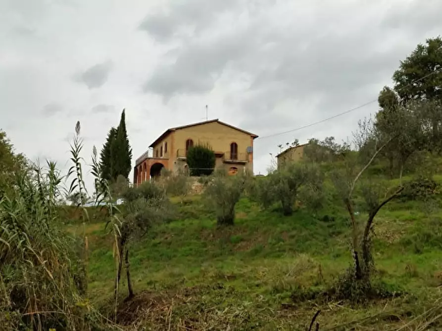 Immagine 6 di Casa indipendente in vendita  a Sinalunga