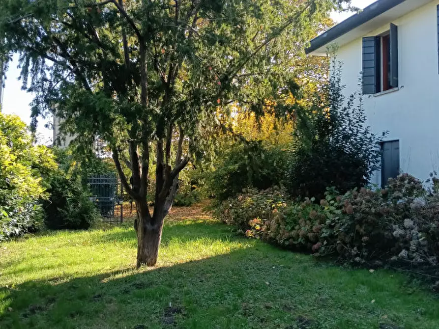 Immagine 46 di Villa in vendita  a Camponogara