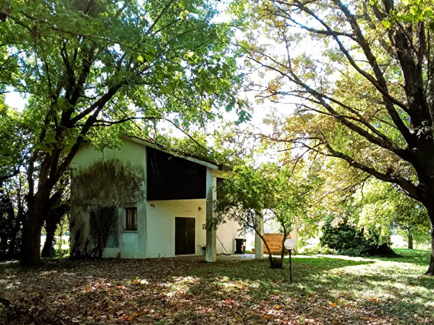 Immagine 49 di Villa in vendita  a Camponogara