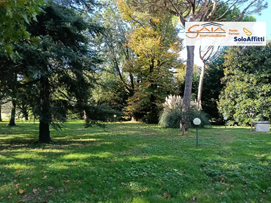 Immagine 51 di Villa in vendita  a Camponogara