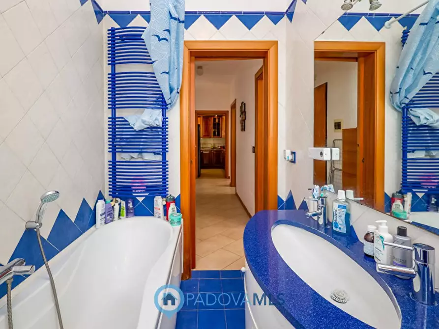 Immagine 3 di Casa bifamiliare in vendita  a Selvazzano Dentro