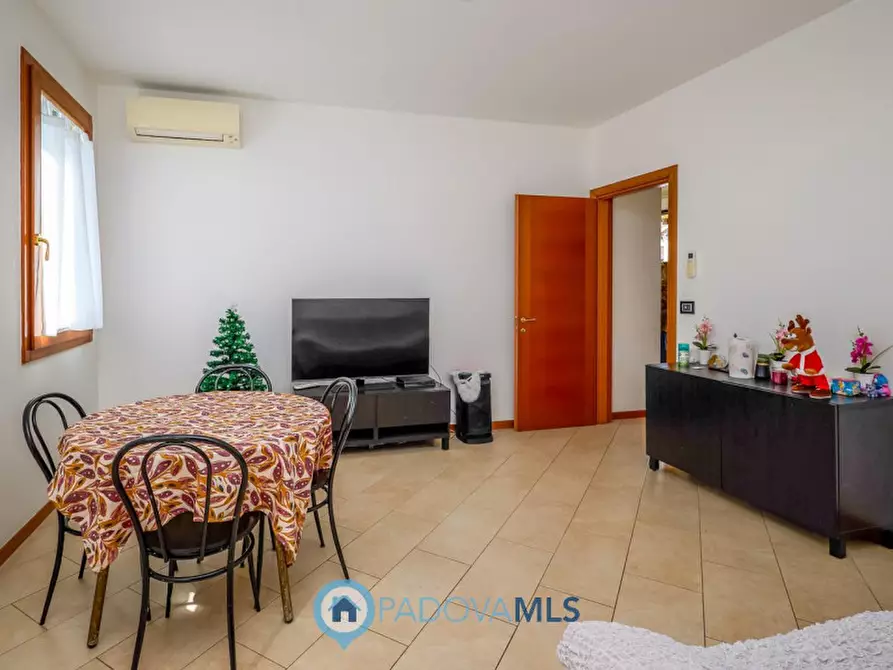 Immagine 11 di Casa bifamiliare in vendita  a Selvazzano Dentro