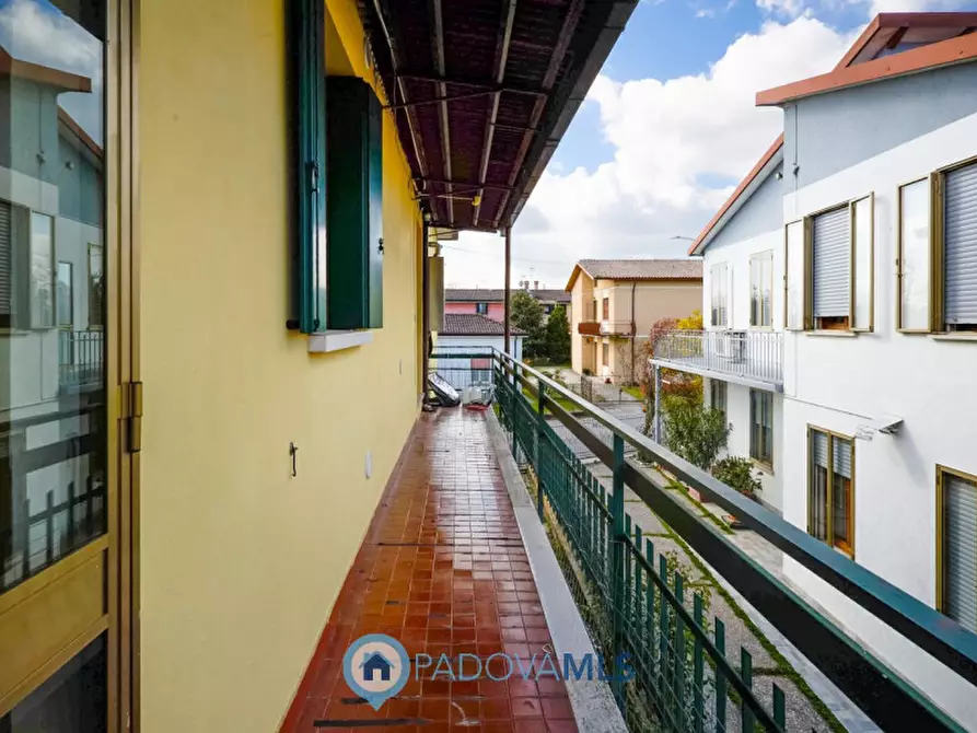 Immagine 19 di Casa bifamiliare in vendita  a Selvazzano Dentro