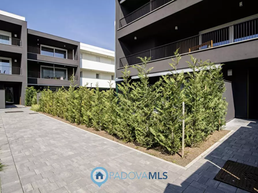 Immagine 14 di Attico in vendita  in Via Rovereto a Mestrino