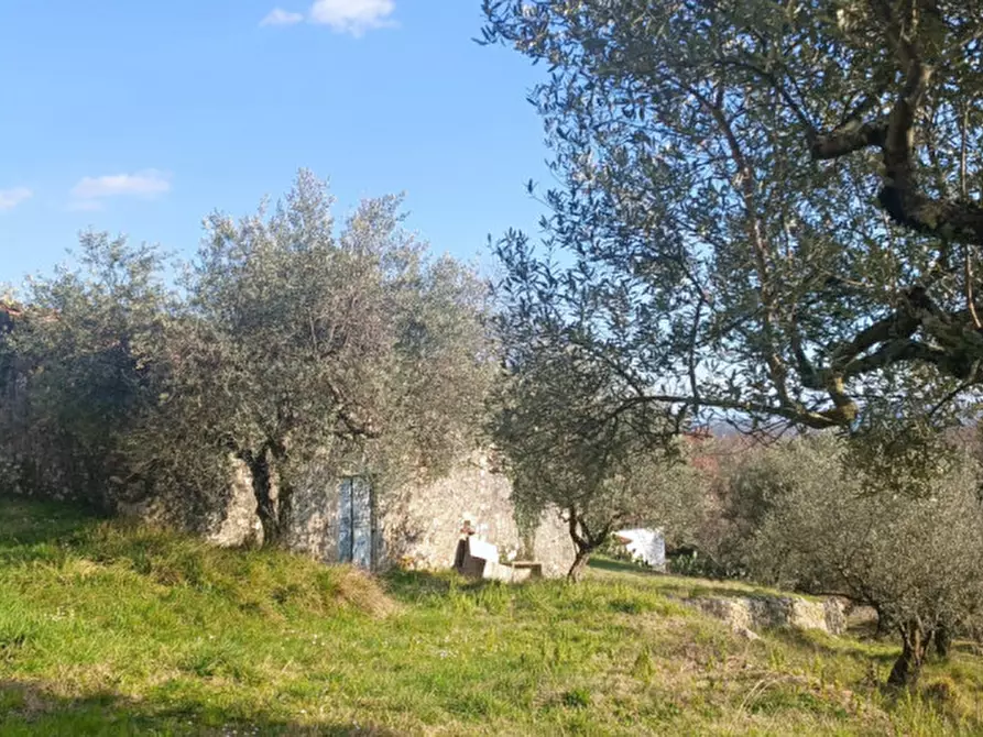 Immagine 2 di Rustico / casale in vendita  in SANTA FRANCESCA a Veroli