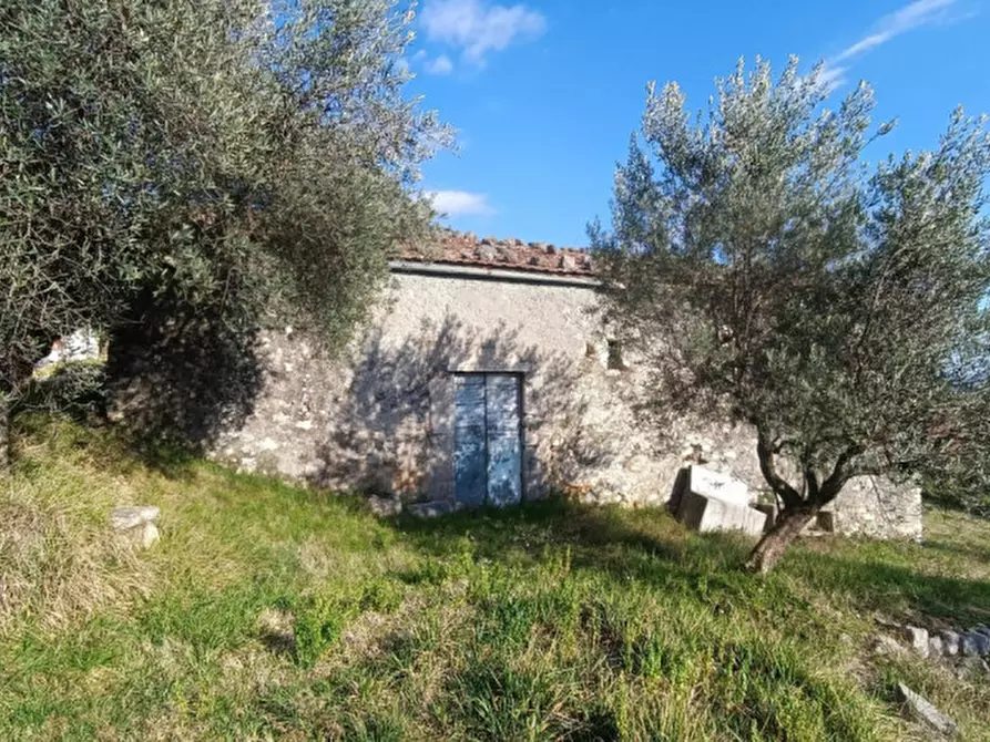 Immagine 3 di Rustico / casale in vendita  in SANTA FRANCESCA a Veroli