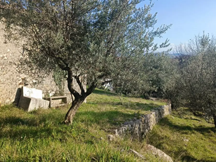 Immagine 7 di Rustico / casale in vendita  in SANTA FRANCESCA a Veroli