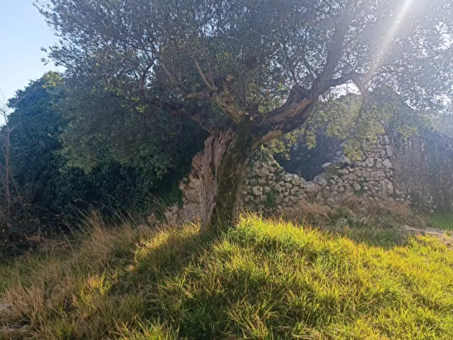 Immagine 8 di Rustico / casale in vendita  in SANTA FRANCESCA a Veroli