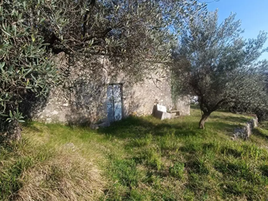 Immagine 12 di Rustico / casale in vendita  in SANTA FRANCESCA a Veroli