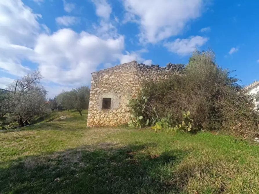 Immagine 13 di Rustico / casale in vendita  in SANTA FRANCESCA a Veroli