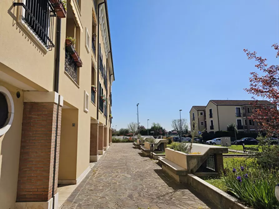 Immagine 21 di Appartamento in vendita  in VIA PAPA GIOVANNI XXIII a Este