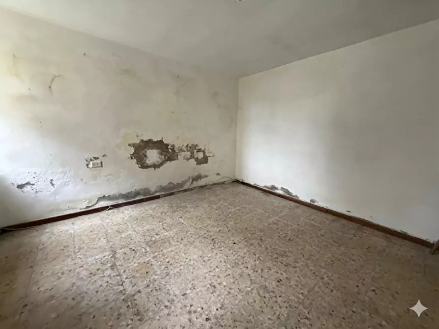 Immagine 8 di Casa indipendente in vendita  in Via T. Righi a Brescello