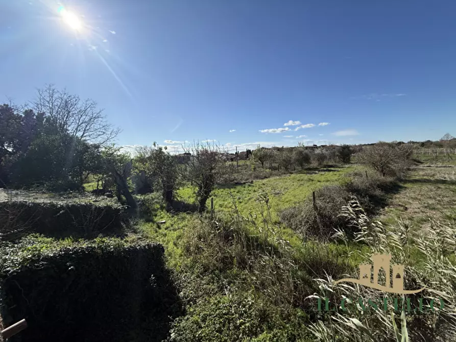 Immagine 12 di Villetta a schiera in vendita  a Cortona