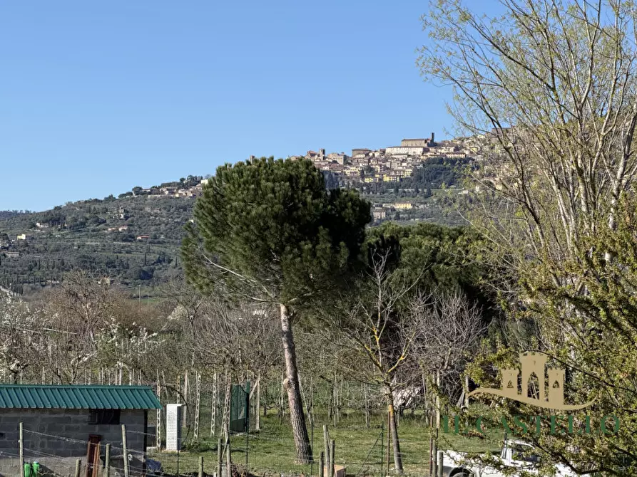 Immagine 14 di Villetta a schiera in vendita  a Cortona