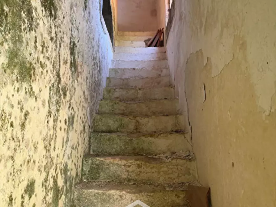 Immagine 11 di Appartamento in vendita  in via san francesco d'assisi,40 a Squinzano