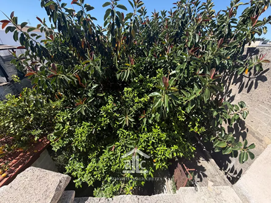 Immagine 18 di Appartamento in vendita  in via san francesco d'assisi,40 a Squinzano
