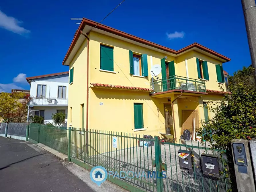 Immagine 38 di Appartamento in vendita  in Via Tripoli a Selvazzano Dentro