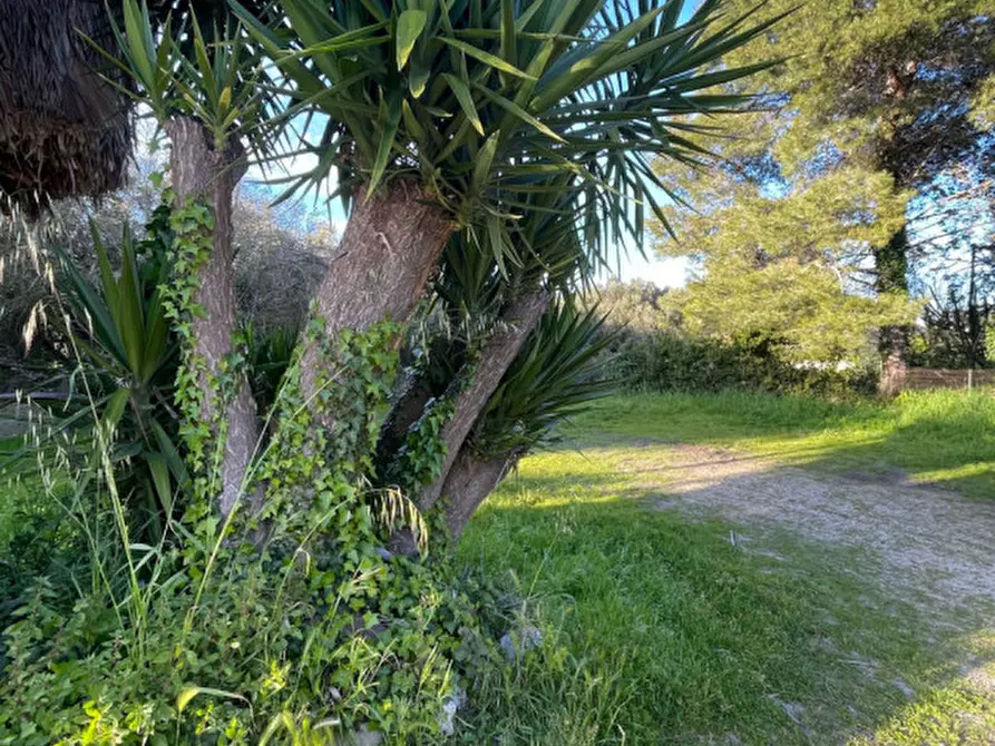 Immagine 57 di Appartamento in vendita  in via madonna delle vigne 4 a San Cesario Di Lecce