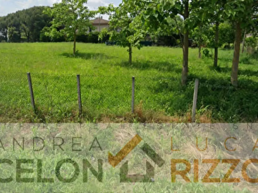Immagine 2 di Terreno in vendita  a San Pietro Viminario