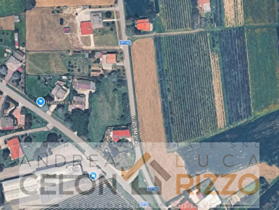 Immagine 4 di Terreno in vendita  a San Pietro Viminario